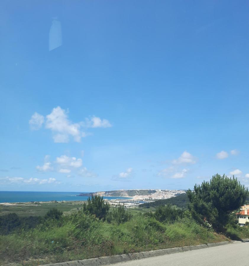 Sunflower Sea View With Magnificent Terrace In Serra Da Pescaria, Nazare - Portugal 외부 사진