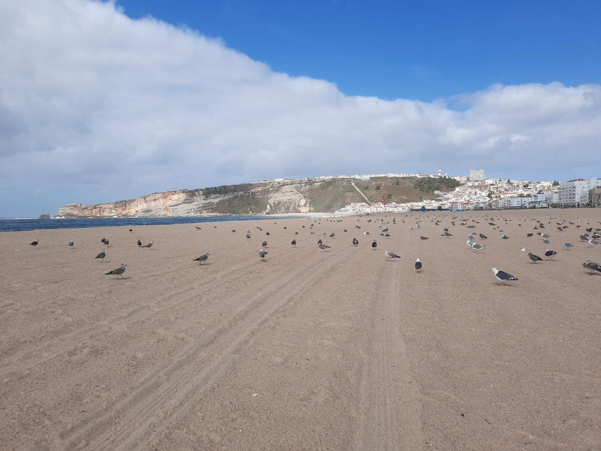 Sunflower Sea View With Magnificent Terrace In Serra Da Pescaria, Nazare - Portugal 외부 사진